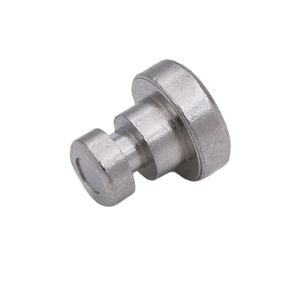 Powder Metallurgy Low Volume MIM Metal Parts Case Core Powder Metal Components